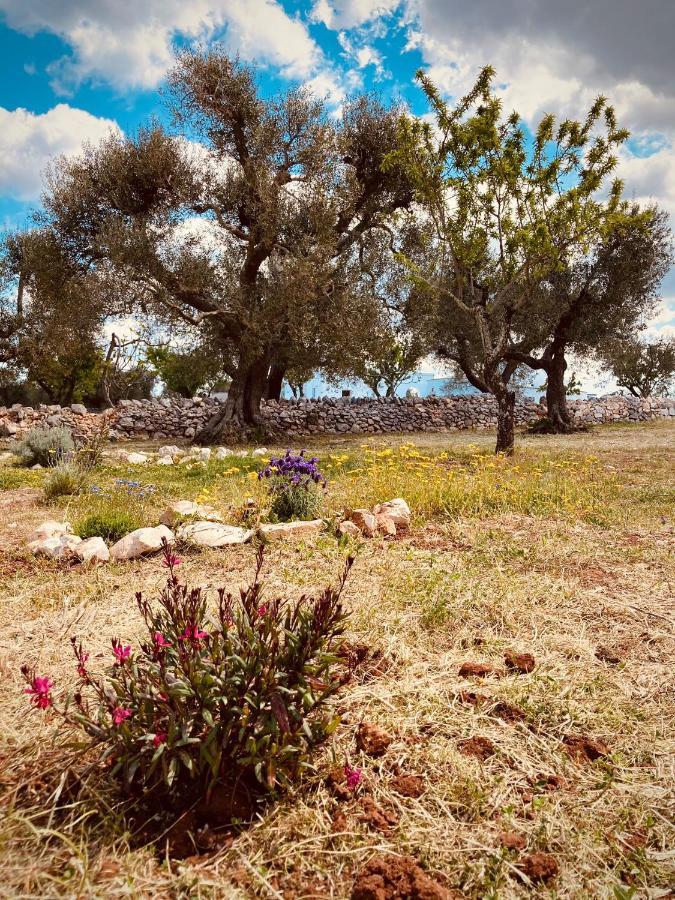 Trulli Acquasala - Apulian Country Experience Villa Ostuni Eksteriør bilde
